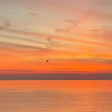 Sea Palanga
