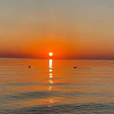 Sea Appartement Palanga